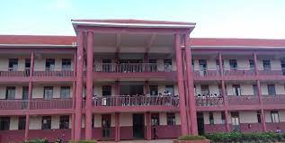 Viva College School